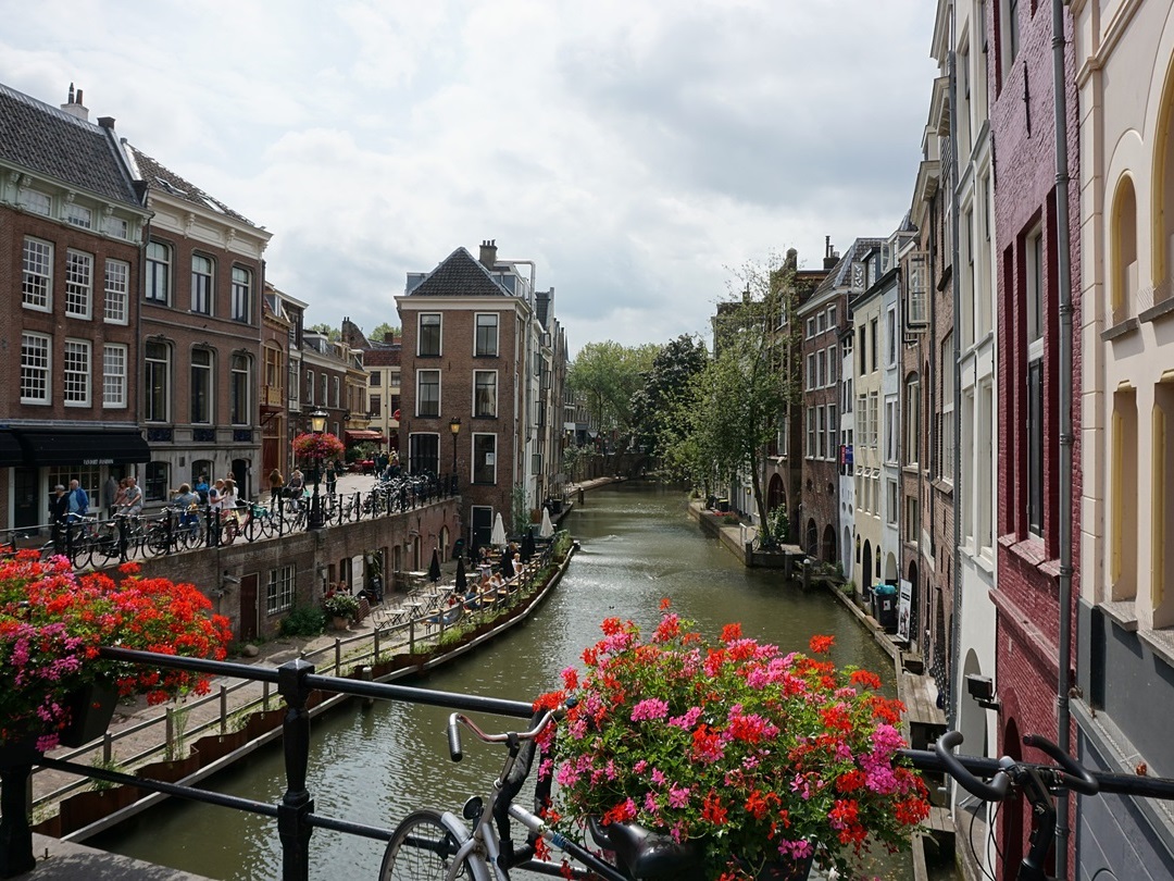 Odoo - Sample 2 voor drie kolommen
